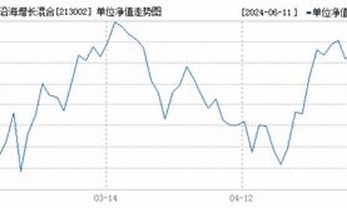 213002基金价值查询_213006基金